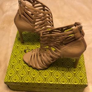 Limited education of  best GIANNI BINI .